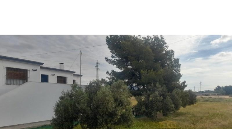 Alicante - San Vicente del Raspeig - 267m2