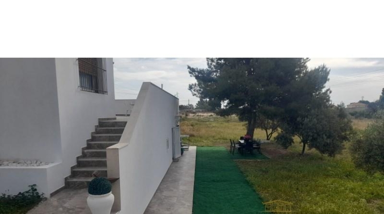Alicante - San Vicente del Raspeig - 267m2