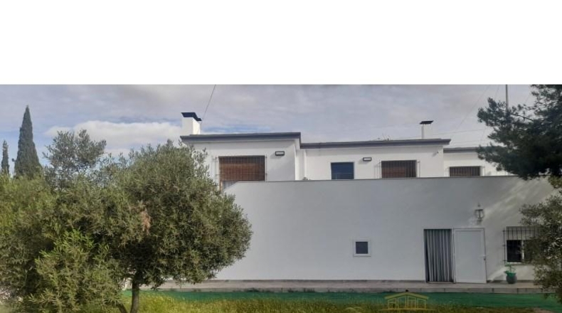 Alicante - San Vicente del Raspeig - 267m2