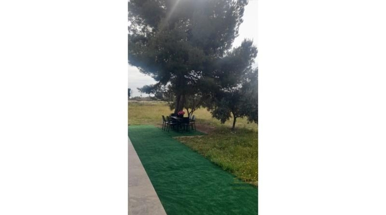 Alicante - San Vicente del Raspeig - 267m2
