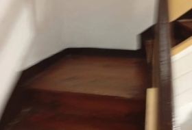 Viveiro 100&nbsp;m² 