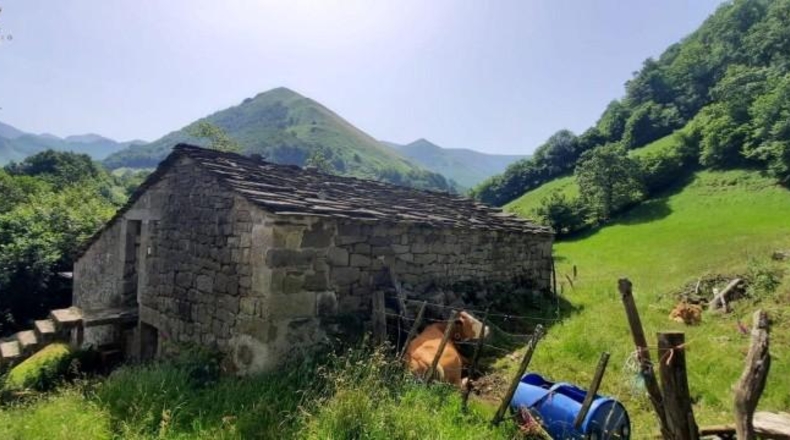 Cantabria - Vega de Pas - 6000m2