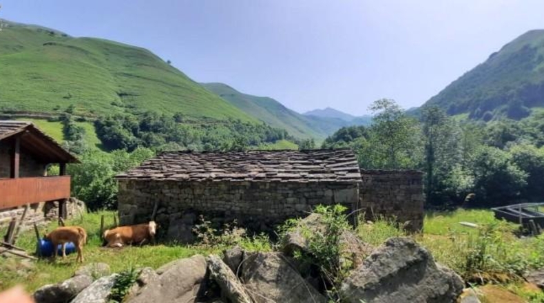 Cantabria - Vega de Pas - 6000m2