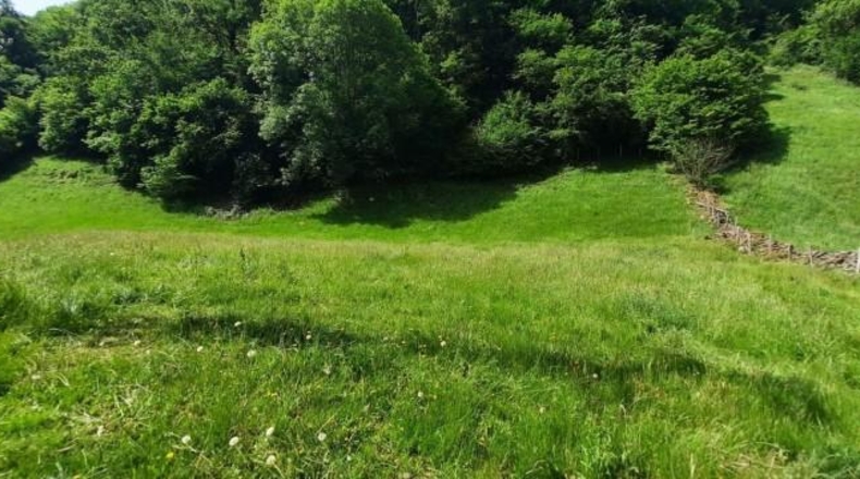 Cantabria - Vega de Pas - 6000m2