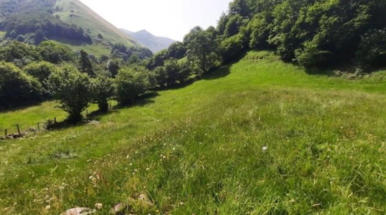 Cantabria - Vega de Pas - 6000m2