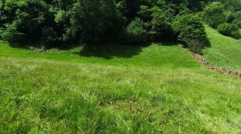 Cantabria - Vega de Pas - 6000m2