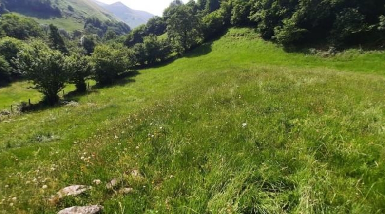 Cantabria - Vega de Pas - 6000m2