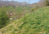 Terreny no urbanitzable en venda a la España, Pesaguero, ref.: TR407067 foto