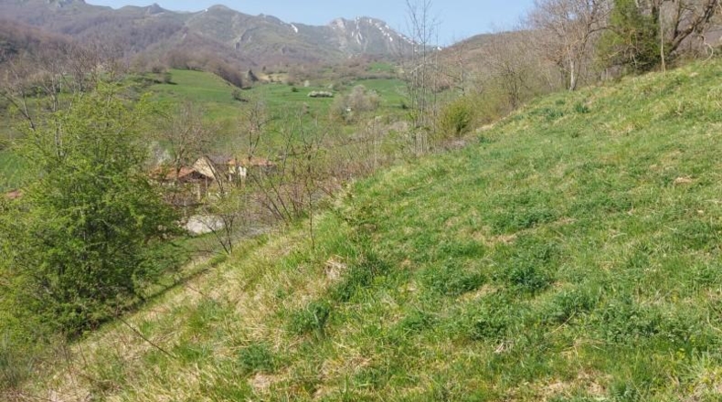 Cantabria - Pesaguero - 75222m2