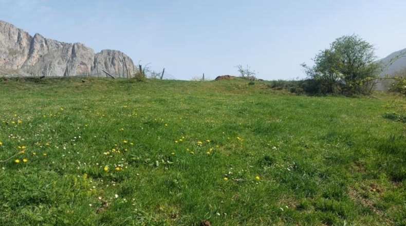 Cantabria - Pesaguero - 75222m2