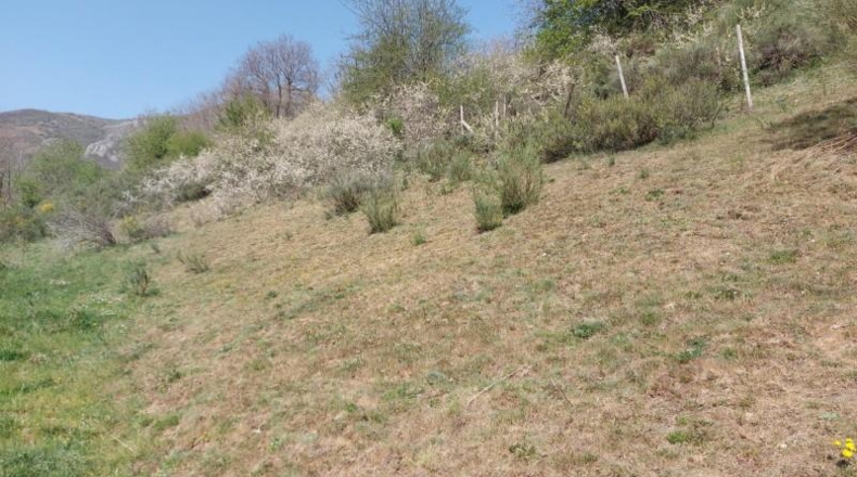 Cantabria - Pesaguero - 75222m2