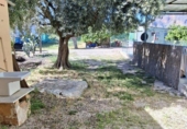 Casa de camp amb terreny en venda a la España, Oriola, ref.: TR406394 foto