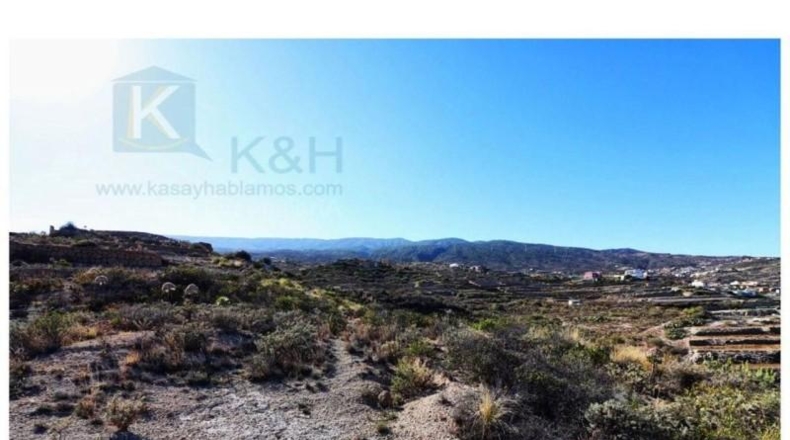 Santa Creu de Tenerife - Güímar - 8220m2