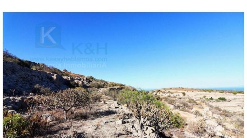 Santa Creu de Tenerife - Güímar - 8220m2