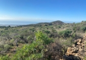Non-developable land for sale on España, Granadilla de Abona, ref: TR407079 photo