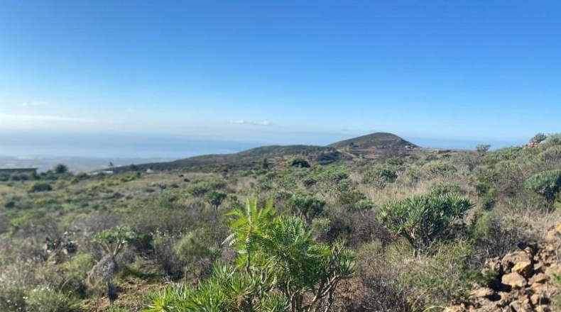 Santa Creu de Tenerife - Granadilla de Abona - 7673m2