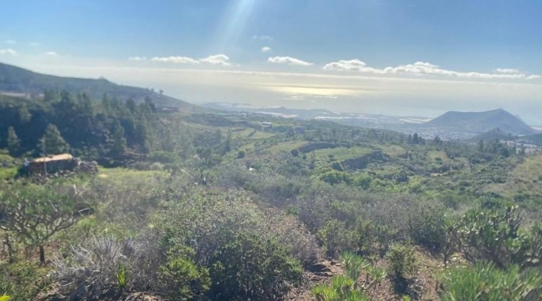 Santa Creu de Tenerife - Granadilla de Abona - 7673m2