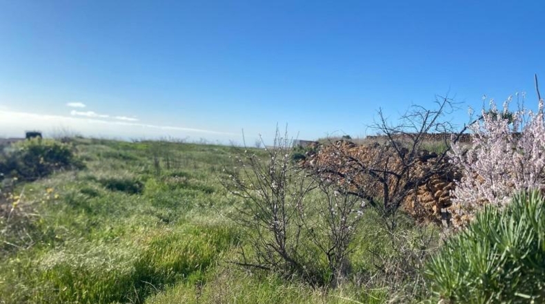 Santa Creu de Tenerife - Granadilla de Abona - 7673m2