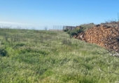Non-developable land for sale on España, Granadilla de Abona, ref: TR407079 photo