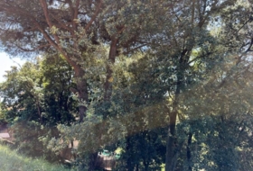 Sant Pere de Vilamajor 817&nbsp;м²