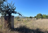 Casa amb terreny en venda a la España, Santa Eugènia, ref.: TR337884 foto