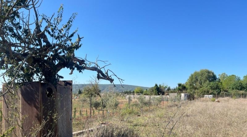 Islas Baleares - Santa Eugènia - 3529m2