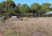 Casa amb terreny en venda a la España, Santa Eugènia, ref.: TR337884 foto