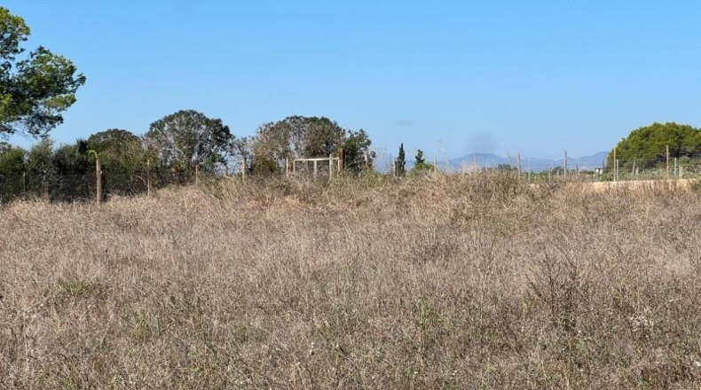 Islas Baleares - Santa Eugènia - 3529m2