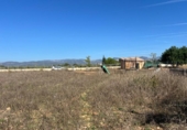 Casa amb terreny en venda a la España, Santa Eugènia, ref.: TR337884 foto