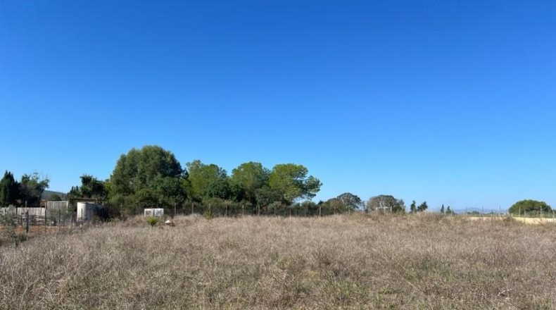 Islas Baleares - Santa Eugènia - 3529m2