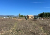 Casa amb terreny en venda a la España, Santa Eugènia, ref.: TR337884 foto