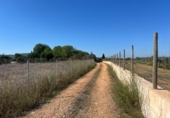 Casa amb terreny en venda a la España, Santa Eugènia, ref.: TR337884 foto