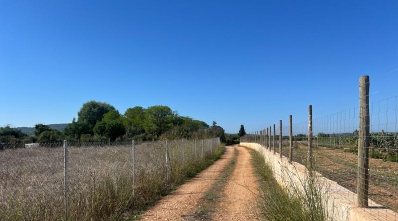 Islas Baleares - Santa Eugènia - 3529m2