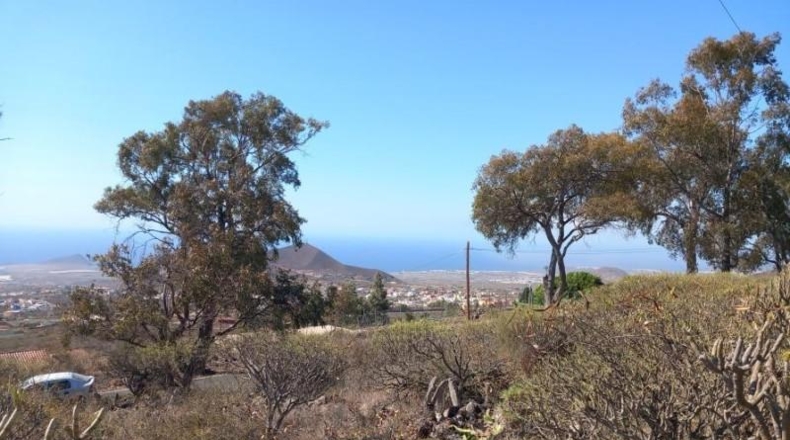 Santa Creu de Tenerife - Granadilla de Abona - 14905m2