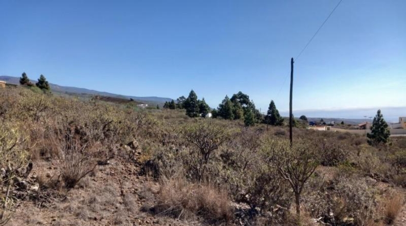 Santa Creu de Tenerife - Granadilla de Abona - 14905m2