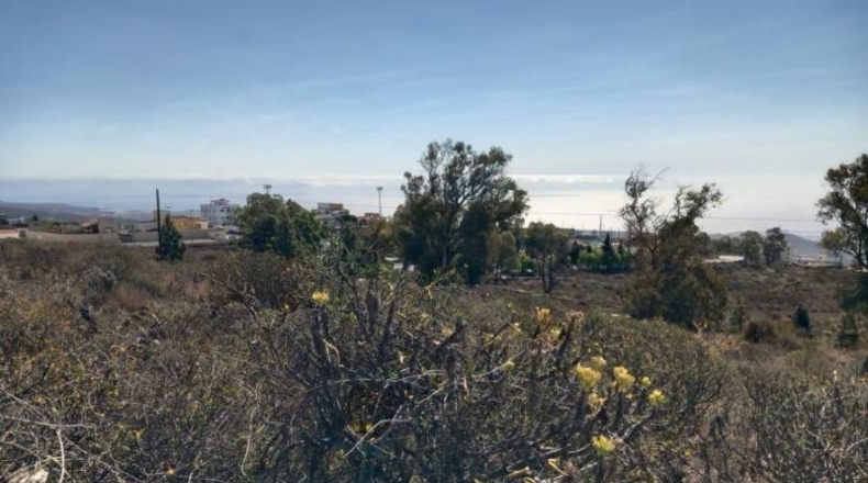 Santa Creu de Tenerife - Granadilla de Abona - 14905m2