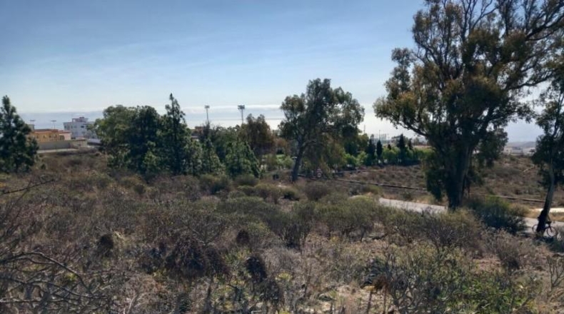 Santa Creu de Tenerife - Granadilla de Abona - 14905m2