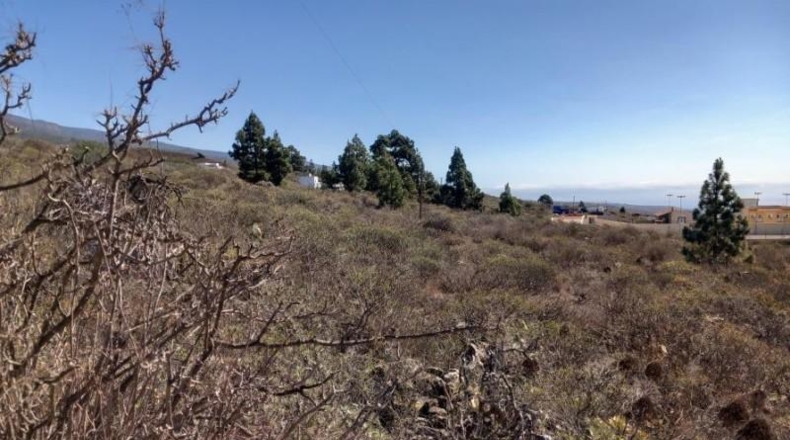 Santa Creu de Tenerife - Granadilla de Abona - 14905m2