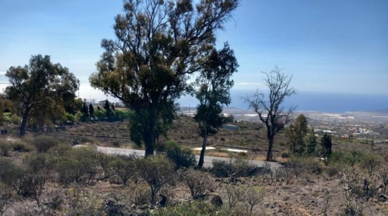 Santa Creu de Tenerife - Granadilla de Abona - 14905m2