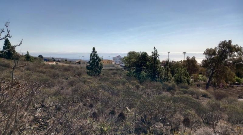 Santa Creu de Tenerife - Granadilla de Abona - 14905m2