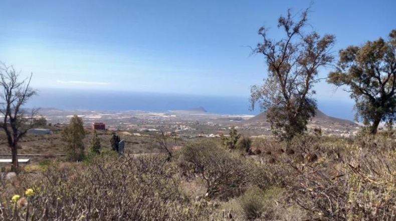 Santa Creu de Tenerife - Granadilla de Abona - 14905m2