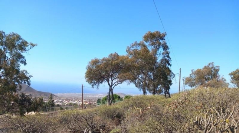 Santa Creu de Tenerife - Granadilla de Abona - 14905m2
