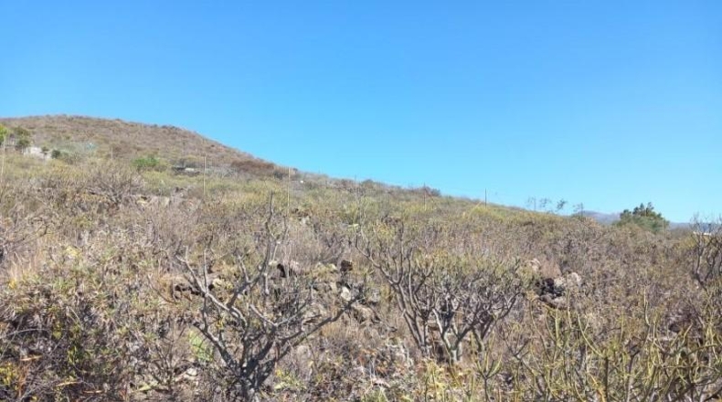 Santa Creu de Tenerife - Granadilla de Abona - 14905m2