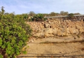 Non-developable land for sale on España, Granadilla de Abona, ref: TR407160 photo