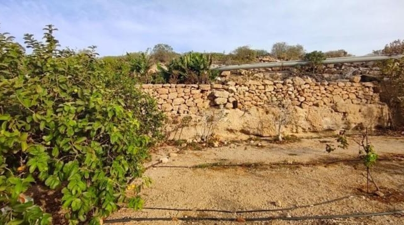 Santa Creu de Tenerife - Granadilla de Abona - 18511m2
