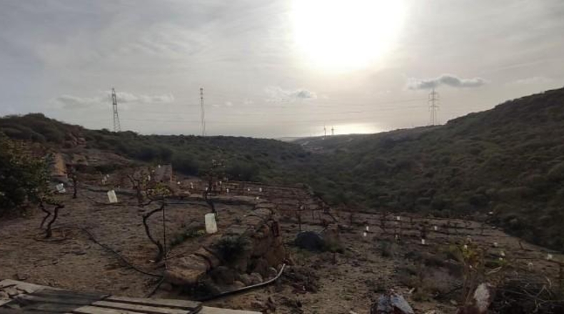 Santa Creu de Tenerife - Granadilla de Abona - 18511m2