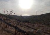 Non-developable land for sale on España, Granadilla de Abona, ref: TR407160 photo