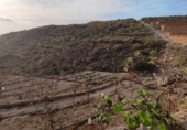 Non-developable land for sale on España, Granadilla de Abona, ref: TR407160 photo