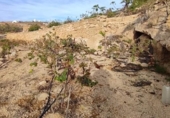 Non-developable land for sale on España, Granadilla de Abona, ref: TR407160 photo