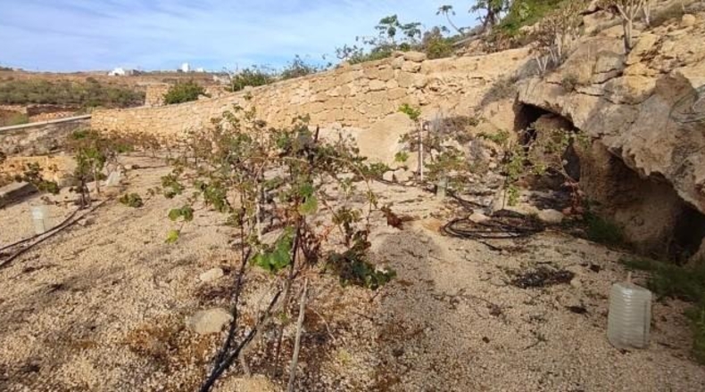 Santa Creu de Tenerife - Granadilla de Abona - 18511m2